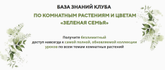 f28f31224fc415816bb22a422ce24b26.png