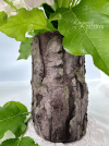 ca863cbfbd97224d4d7324cd7c60fd60.png