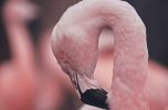 8a468ba6e1e226ff99be14a6283ca933.png