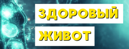 7798975b6bd59eb25bfd0a182068d5b4.png