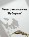 efaa61c87af8eae192d393ed81826643.jpg