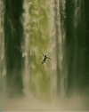 4bb1fef228f5dc452415f4634c2d3968.png