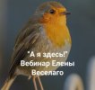 23c30d77c5a3e89c83cafc6c84bb00f5.jpg