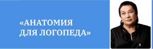 d362aa269b484da0966e8d3b85b7a707.png