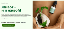 3deba37f6b36f3d3772929197d8d9672.png