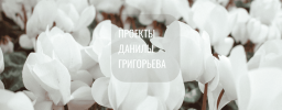29605fb62f7a9c7680da6c366932c4ae.png
