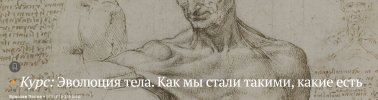 f1c83eda419babcc8102a711f2e776ca.jpg