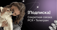 bc0c7980712573a5b251f1e3f995ae90.png