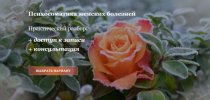 e34e9de29af990025152a9cd7bbb9b40.jpg