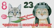 c77232d85beab7143319895a76cdf917.jpg