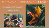 d496f5c8ec15afd87c740a4fd48c95f2.png
