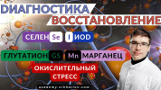 254696e4fb84a9f3e41a357756483ede.png