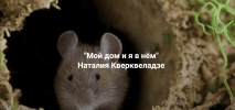 d2ce91335624c61da4c791ad3048b152.png
