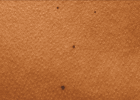 f2bb4cf48293b1586531a7f0fe2cdc51.png