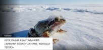 89341dd469ee30e3ac4c3918ab8cc848.jpg