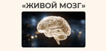 15c7852c4a50d2d1fdcf1dd2b2e90f0d.png