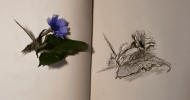 bc39a6c55c30411170a90a051b02723c.png