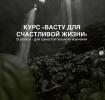 84defaa08f906d1c91f0a78c1588880b.png