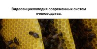 11afc383862d1efa3254eed95728b456.jpg