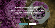 3b1012b94adb9abbf8091217a02a8f17.png