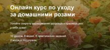 8fc9146043ff2cf695aade249c525e67.jpg