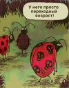 6b4b4582eed31a2cf301c34b82c8dfe2.png