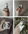 3deb55761e61ac3d0c241eb74b6e1e08.png