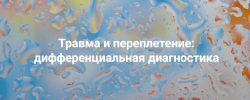 c8d7b0770ad823d1e81717295f7a24c8.png
