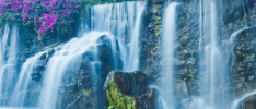 e09f67490c6d4fa8c0018f33998492e9.png