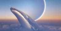 7c916bbf4f4d12a761af23574050cdc7.png