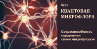 8210127ec890f213b7ca478b1f6678d5.png