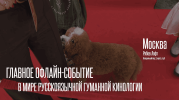 d222a6a090f8b7f1177d848ddd5d9fdb.png