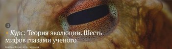 6968990bcd4b9b7fde82cea22d30bd18.jpg