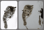 b77afc168155d006b7ab8dac95ce230d.png