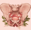 419858aea34a082e224f777d3ff16b7e.png