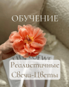 9a92e9d69634cef31581377dc96a6e69.png