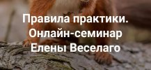 b9beb2db2c90e9016e69f592d9d111d4.jpg