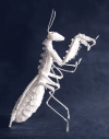 e9ea09c98f172ab167fd27674a0a0932.png