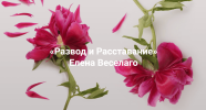 a90479266bf7164a7f3dcdfa1c19373b.png