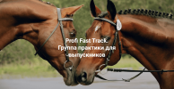 f76ba0be7a597fea3e08bed424a5b987.png