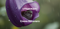 4f3e0e05fa2fe8d14b759614138fed80.png