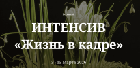 c59284a34296f838b182a7fd4bfb35f7.png