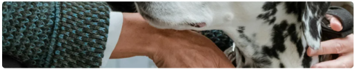 skoro-1.png