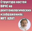 skoro-1.png