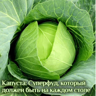 02dfddeff81785f1c34861f5d0ec8c4f.jpg