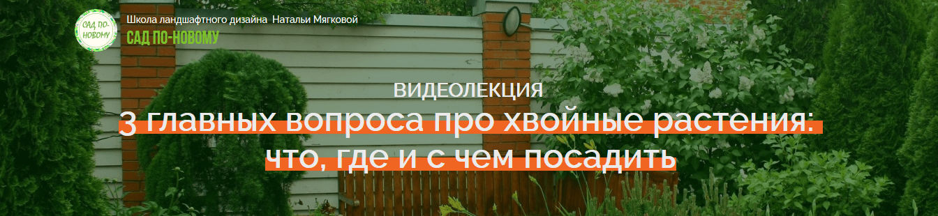 0de677ed124f44c78406ef37b0a0ed1b.jpg