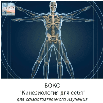 0e922170f13bc8432287ac126d8edf75.jpg