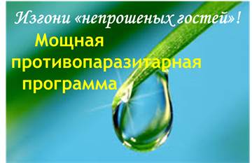 17cd43dd44647c9c0b7459a7de23ef0f.jpg