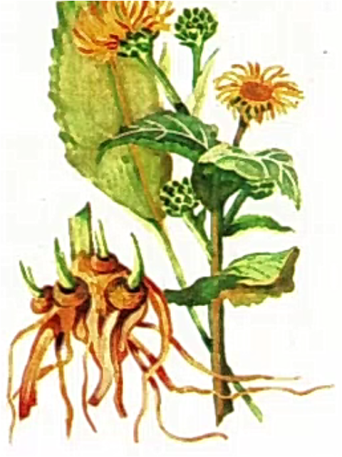 1f7add60a63d118d1e6375e90618a488.jpg