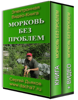 2adbd663753a19b3c47a564e0223cf8f.jpg